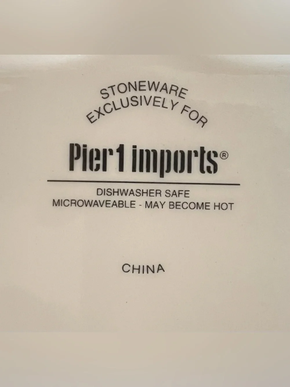 Pier 1 Imports Farm Life Farmhouse Rectangular Stoneware Platter